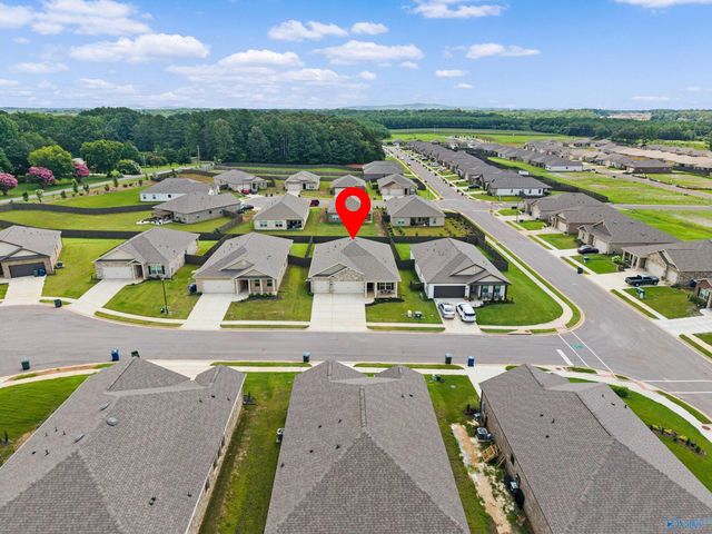13216 New Foal Lane, Madison, AL 35756