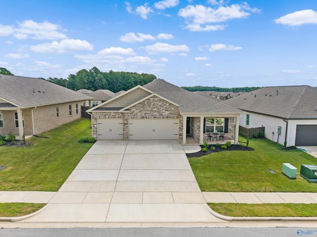 13216 New Foal Lane, Madison, AL 35756