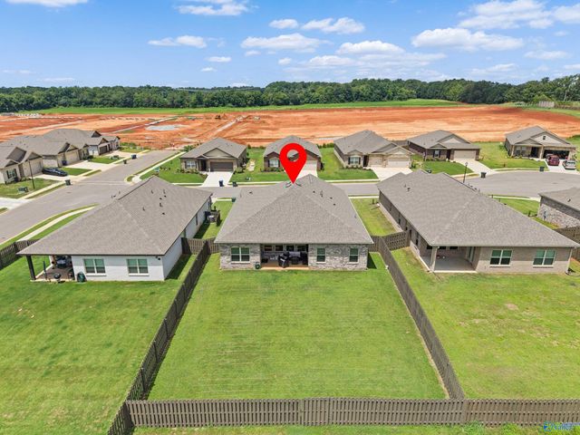 13216 New Foal Lane, Madison, AL 35756