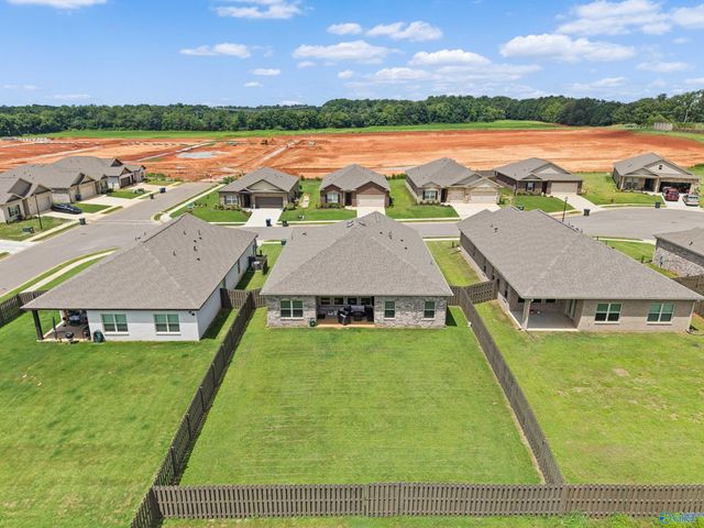 13216 New Foal Lane, Madison, AL 35756