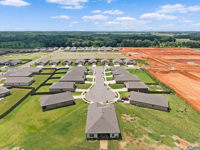 13216 New Foal Lane, Madison, AL 35756