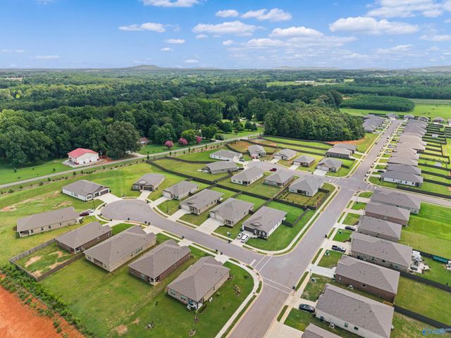 13216 New Foal Lane, Madison, AL 35756