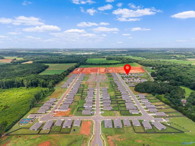 13216 New Foal Lane, Madison, AL 35756