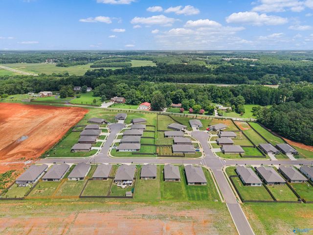 13216 New Foal Lane, Madison, AL 35756