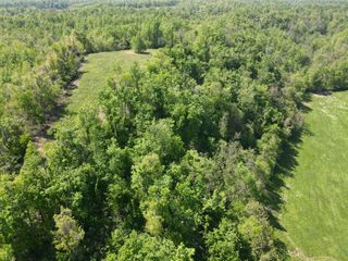 0 Woody End Lane, Beechgrove, TN 37018