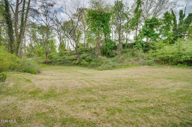 207 Lynwood Street, Bristol, TN 37620