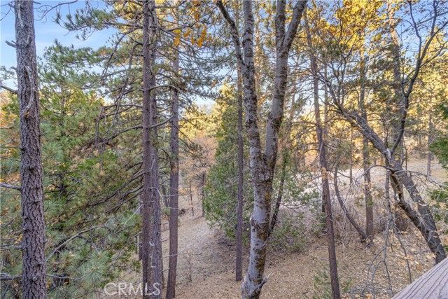 32703 Tulip Lane, Los Angeles, CA 92382