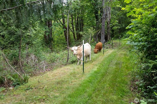 27346 Lake Cavanaugh Road, Mount Vernon, WA 98274