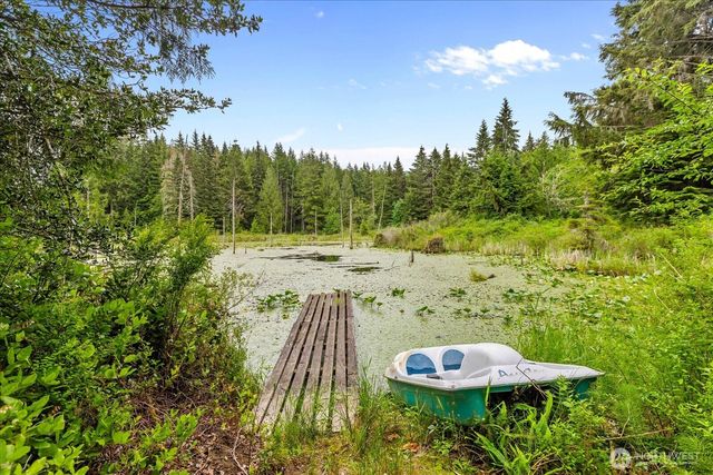27346 Lake Cavanaugh Road, Mount Vernon, WA 98274