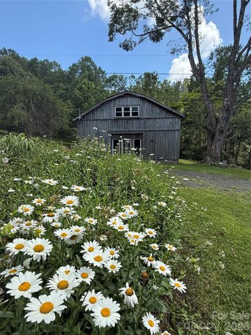 1108 Pine Root Branch Road, Bakersville, NC 28705