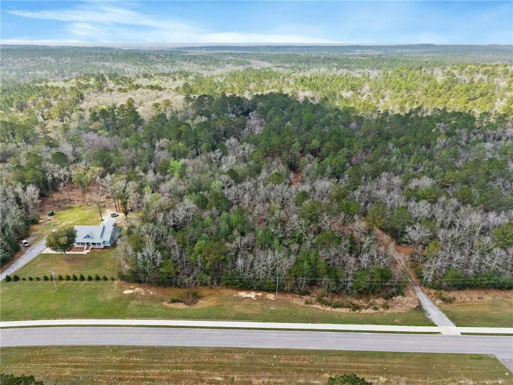 33521 Jimmy Faulkner Drive, Spanish Fort, AL 36527 — photo 4