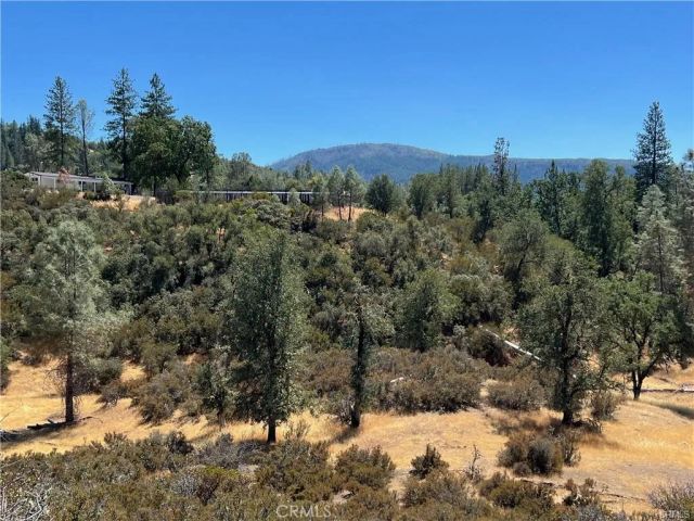 8360 Sulphur Creek, Loch Lomond, CA 95461