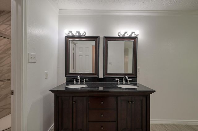 25747 Timber Lakes Drive, Spring, TX 77380