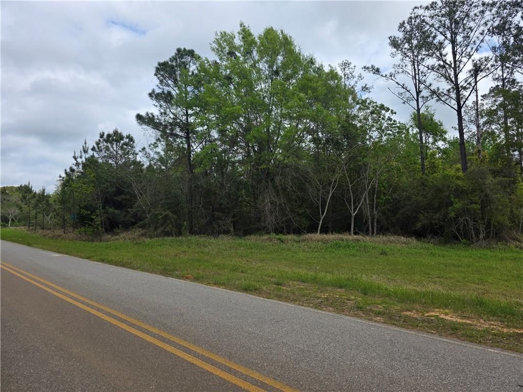 11631 Red Hill Road, Bay Minette, AL 36507 — photo 5