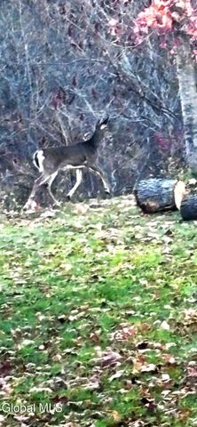 6 West View Drive, Granville, NY 12832