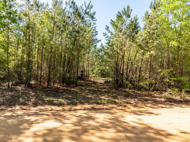 0 WHITAKER Road, Dearing, GA 30808