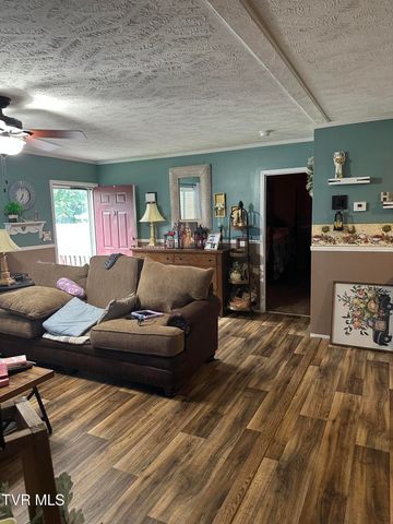 132 Elliott Avenue, Erwin, TN 37650
