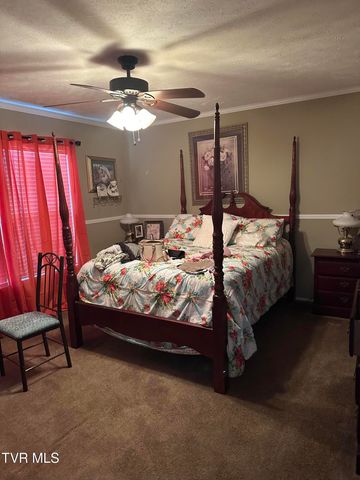 132 Elliott Avenue, Erwin, TN 37650