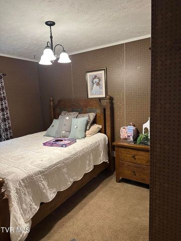 132 Elliott Avenue, Erwin, TN 37650