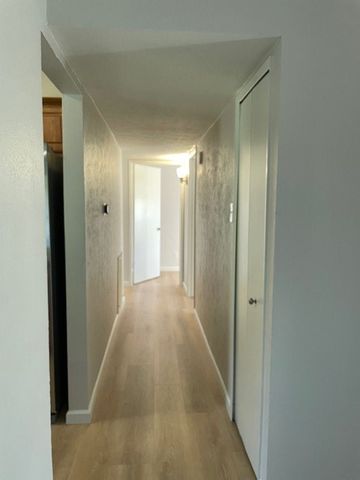 713 Leading Lane, Allen, TX 75002