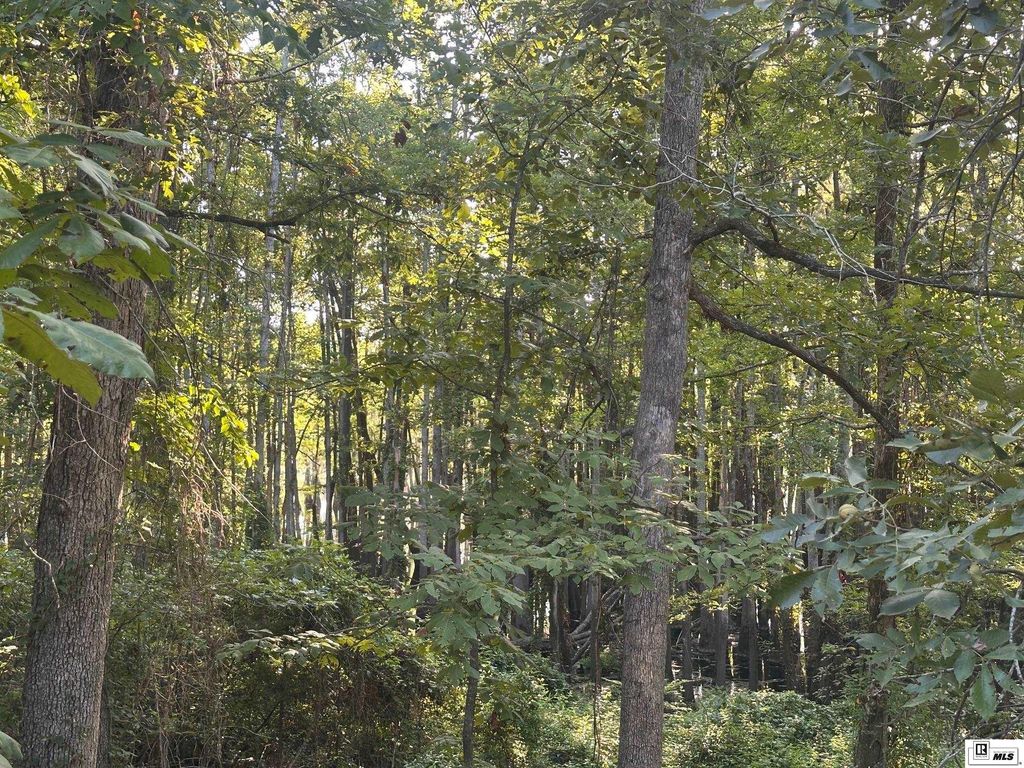 0 E PUCKETT LAKE ROAD, West Monroe, LA 71292