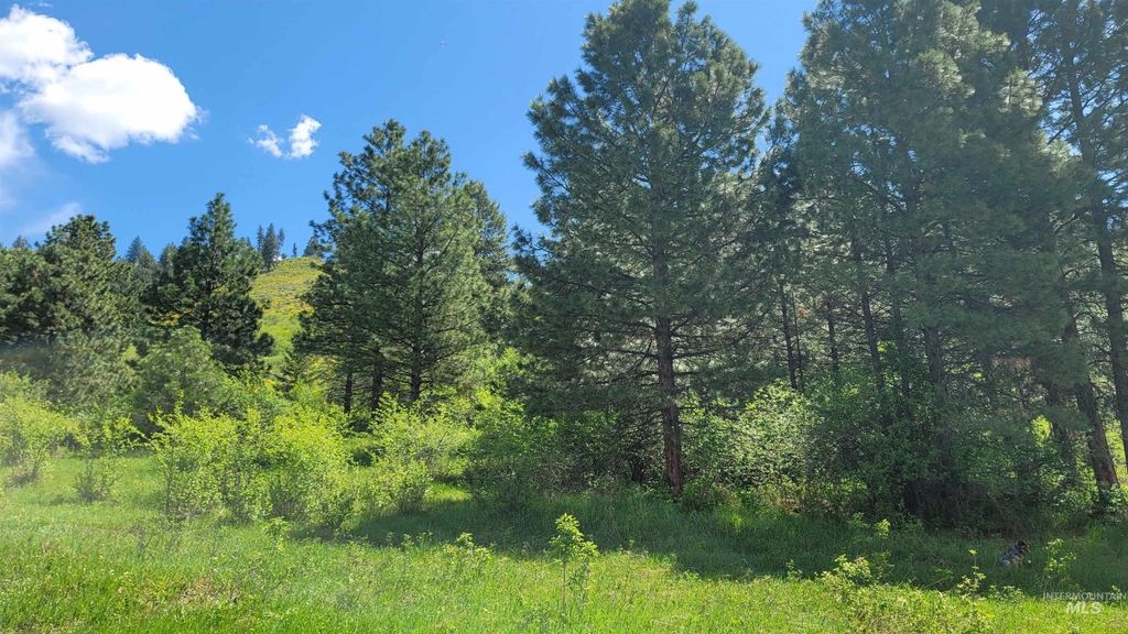 2488 Lappin Lane, Council, ID 83612 photo 15