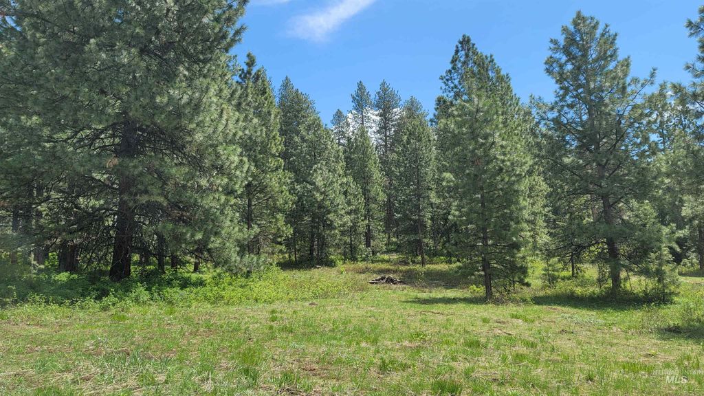 2488 Lappin Lane, Council, ID 83612 photo 20