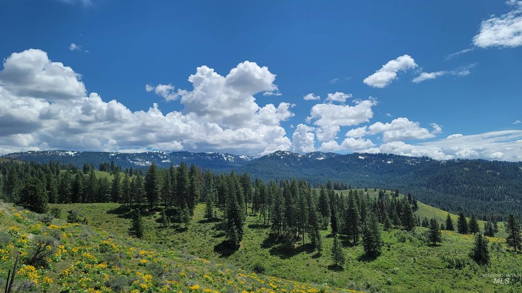 2488 Lappin Lane, Council, ID 83612 photo 21