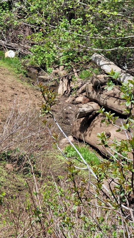 2488 Lappin Lane, Council, ID 83612 photo 24