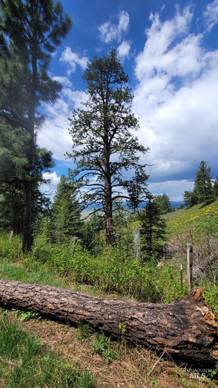 2488 Lappin Lane, Council, ID 83612 photo 26