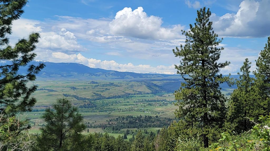 2488 Lappin Lane, Council, ID 83612 photo 27