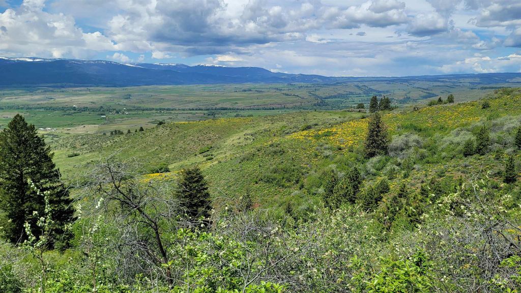 2488 Lappin Lane, Council, ID 83612 photo 3