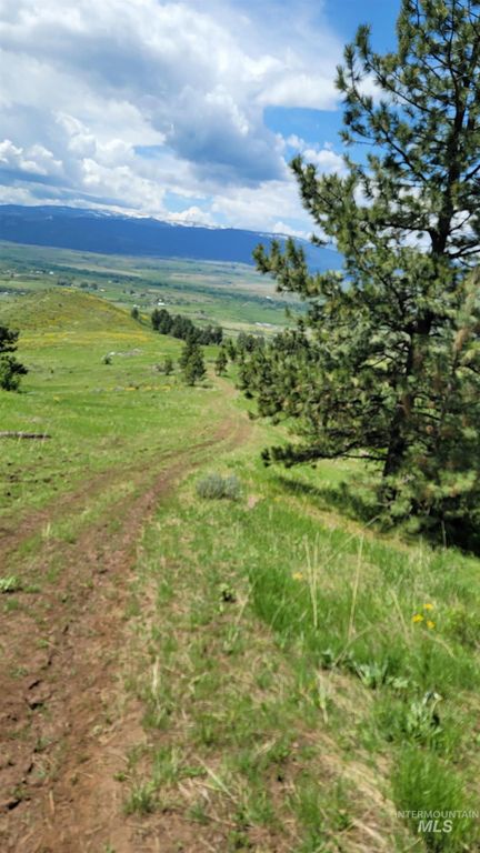 2488 Lappin Lane, Council, ID 83612 photo 30