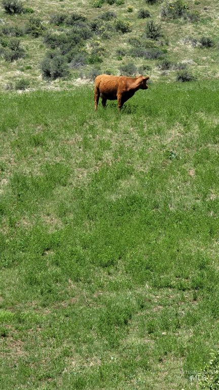 2488 Lappin Lane, Council, ID 83612 photo 31