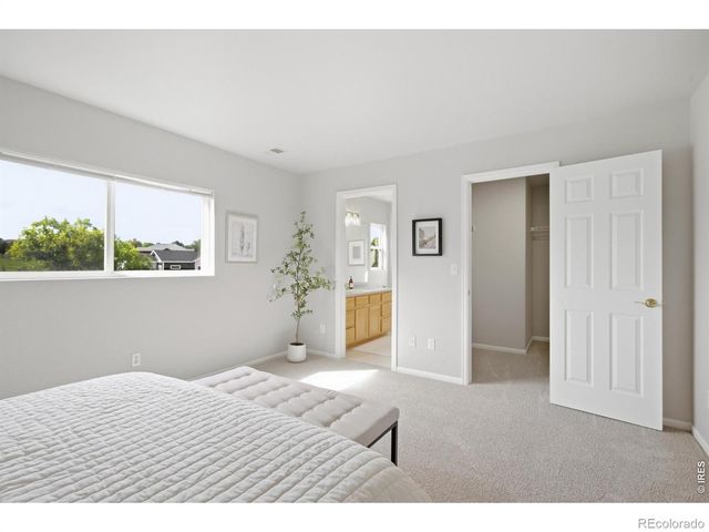 6521 Finch Court, Fort Collins, CO 80525