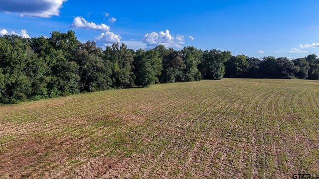 TBD E Highway 11, Winnsboro, TX 75494