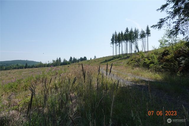 1068 Salmon Creek Rd, Mossyrock, WA 98564