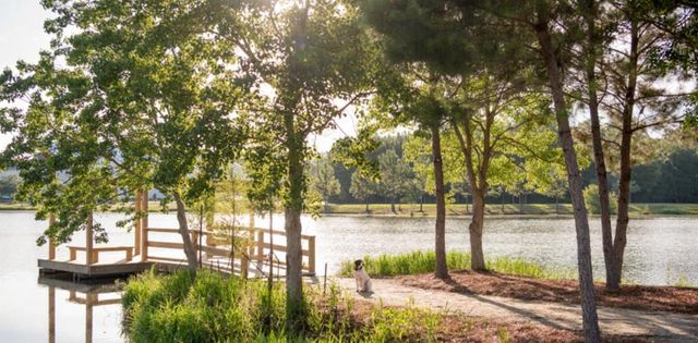 113 Cloverfield Trail Drive, Summerville, SC 29486