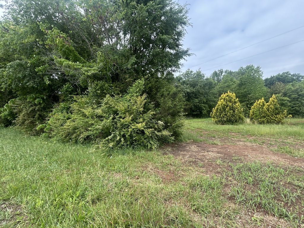 0 Haddon Lane, Winchester, TN 37398