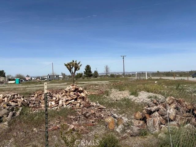 1290 Highway 18, Pinon Hills, CA 92372