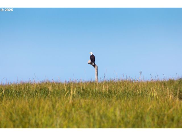 89026 OCEAN Dr, Warrenton, OR 97146