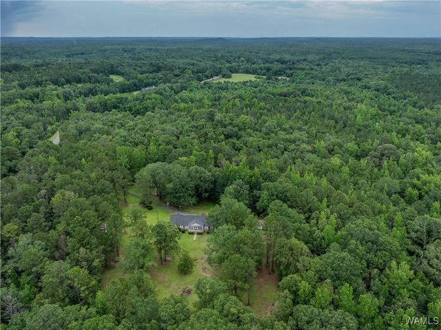 13460 Sipsey Valley S, Ralph, AL 35480