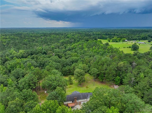 13460 Sipsey Valley S, Ralph, AL 35480