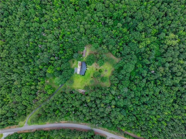 13460 Sipsey Valley S, Ralph, AL 35480