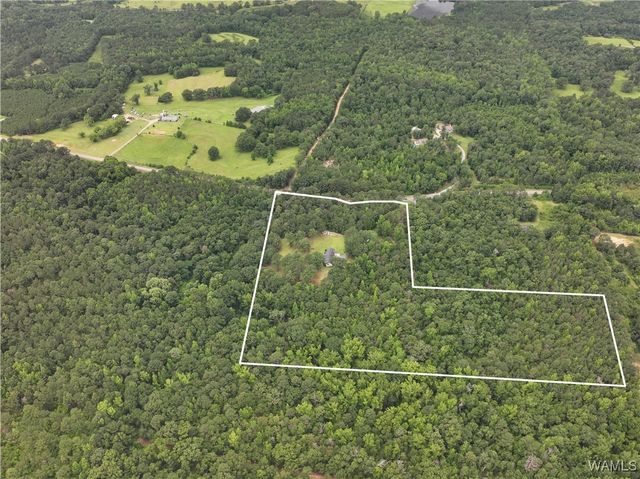 13460 Sipsey Valley S, Ralph, AL 35480