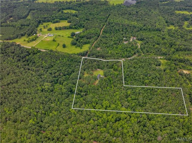 13460 Sipsey Valley S, Ralph, AL 35480