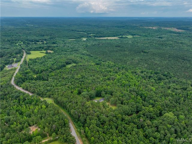 13460 Sipsey Valley S, Ralph, AL 35480