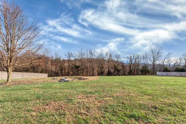 203 Desperado Ave, Pulaski, TN 38478