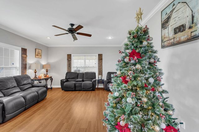 203 Desperado Ave, Pulaski, TN 38478