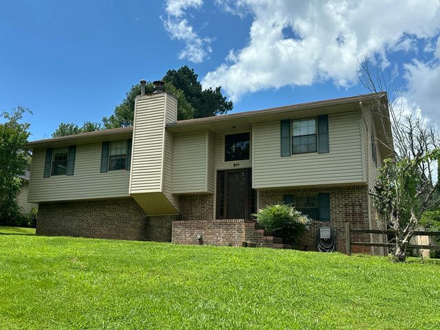 811 Armstrong Ferry Road, Dayton, TN 37321